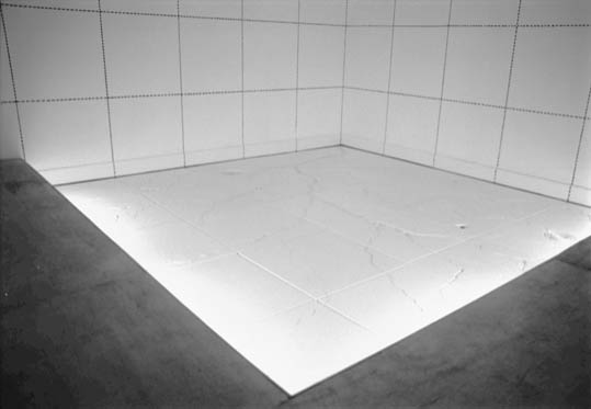 Modelo para Escoamento Induzido